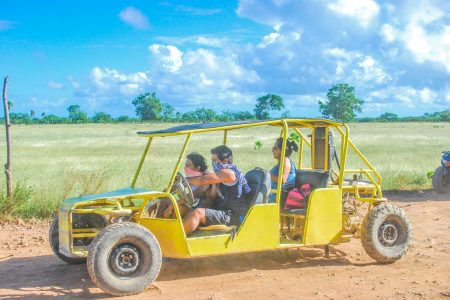 Dune family Buggy (3-4) pax