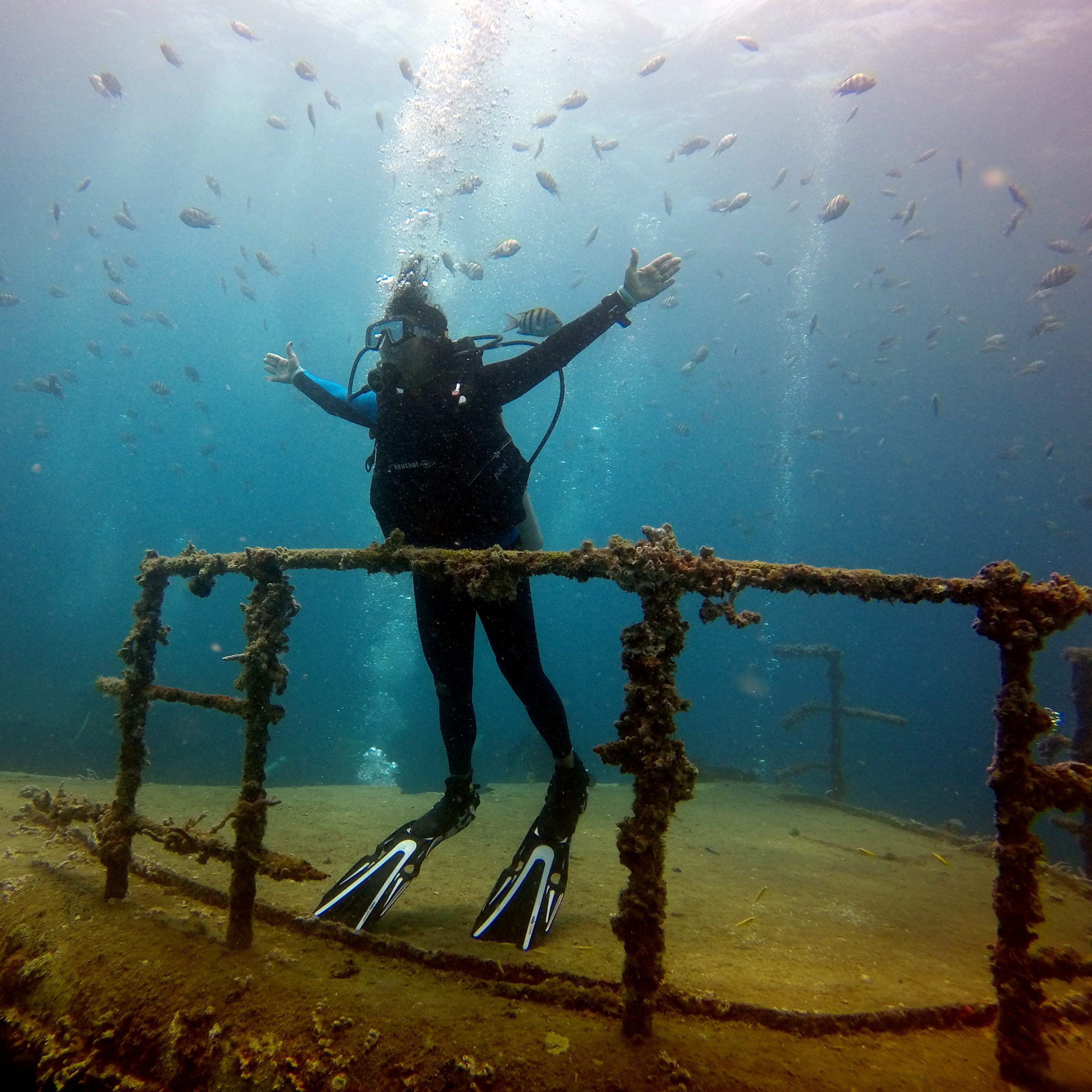 Scuba Diving Bayahibe (DOBLE TANQUE )