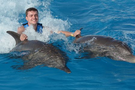 Experiencia con Delfines (nado e interaccion)